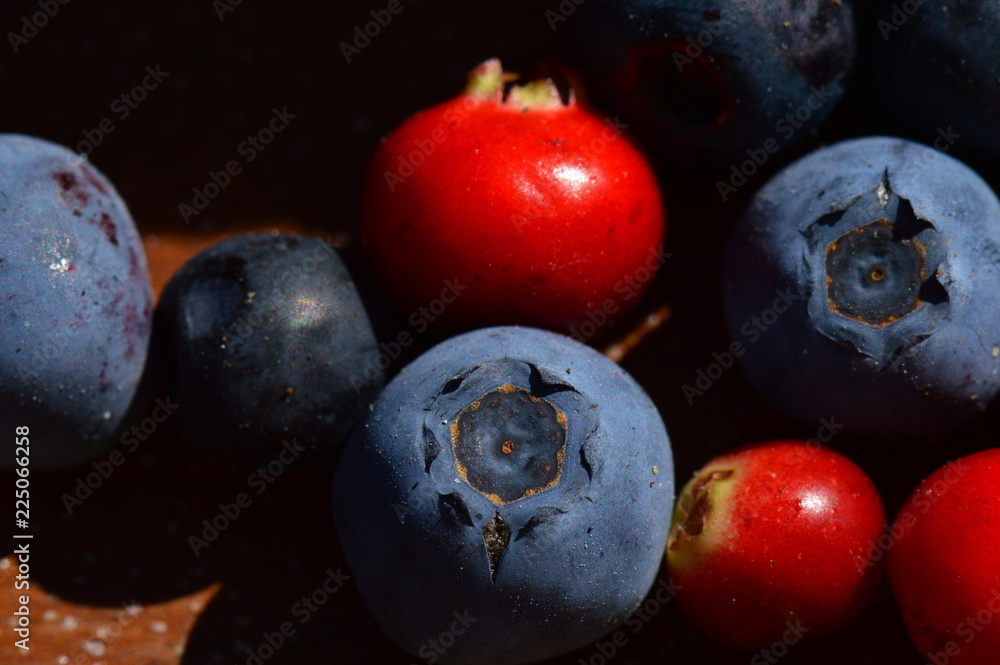 Forest berries blueberries and lingonberries on a wooden background Forest berries blueberries and lingonberries on a wooden background