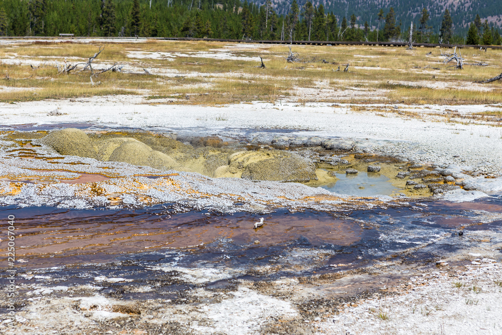 Side of hot spring (Yellowstone NP)