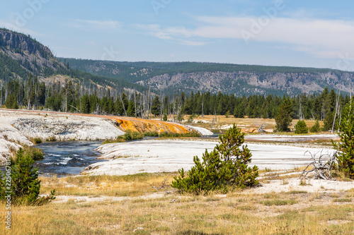 View to forwst in Yellowstone NP photo