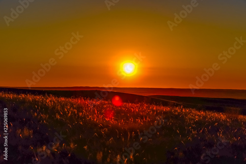 Grasslands Sunset