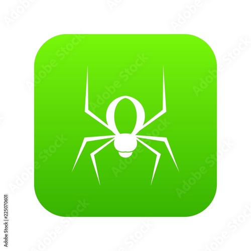 Spider icon digital green for any design isolated on white vector illustration