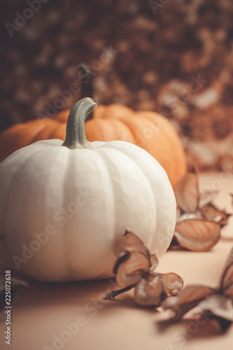 Autumn orange and white pumpkins photo