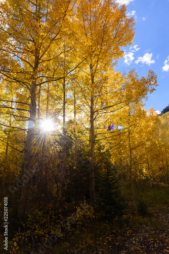 Beautiful and Colorful Colorado Rocky Mountain Autumn Scenery