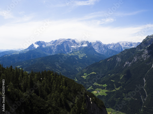 Austrian alps and forest