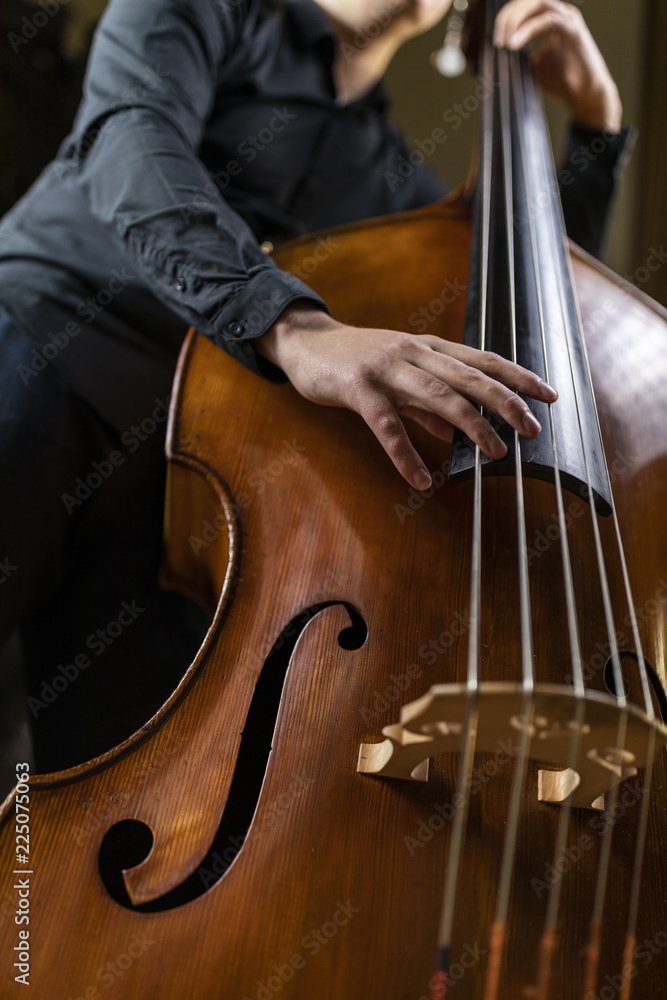 A person playing a double bass A person playing a double bass