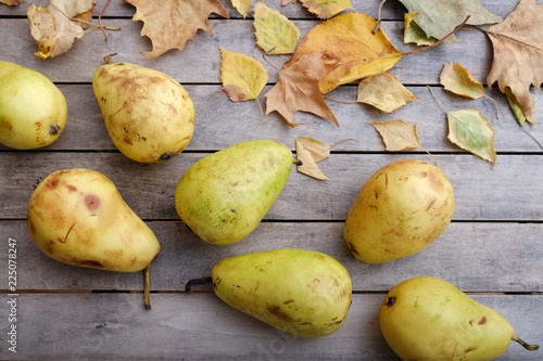 Organic pears on a rustic wooden table decorated with autumn leaves