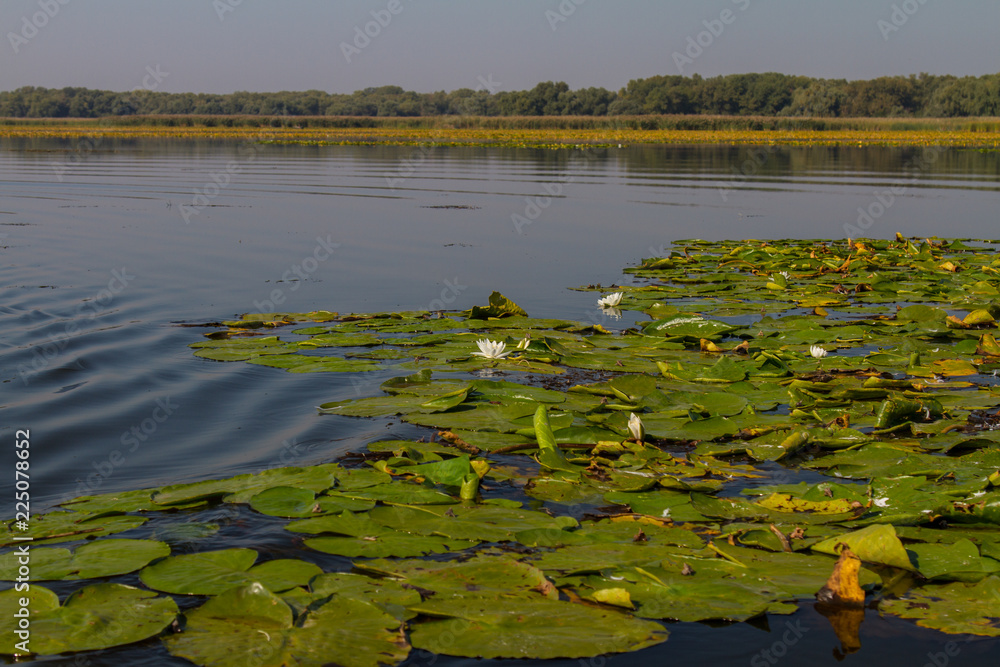 The Dnieper River in the village of Kushugum The Dnieper River in the village of Kushugum