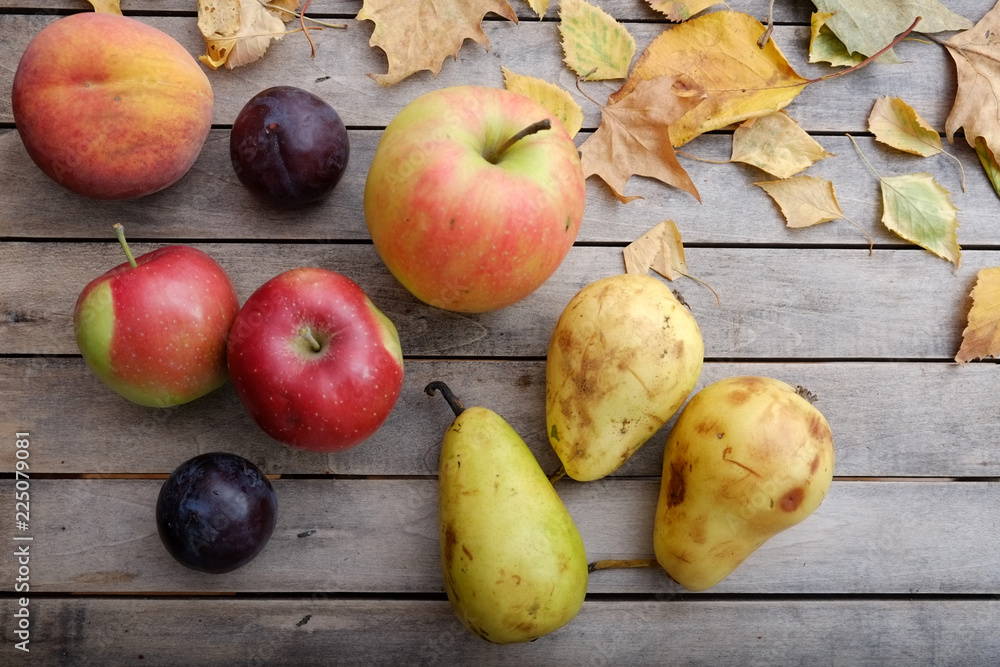 Various colorful fruits on autumn wooden table Various colorful fruits on autumn wooden table