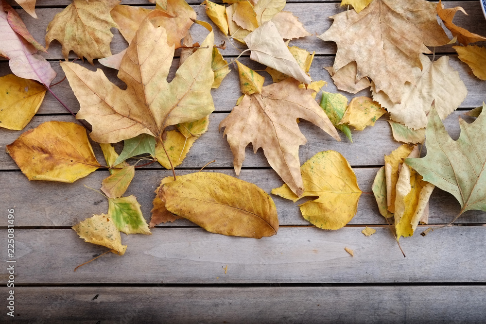 Autumn leaves on rustic wooden table Autumn leaves on rustic wooden table