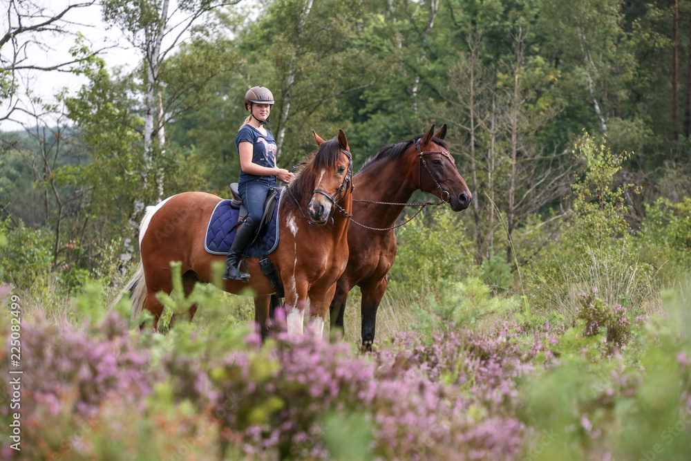 Mädchen mit Pferden in der Heide Mädchen mit Pferden in der Heide
