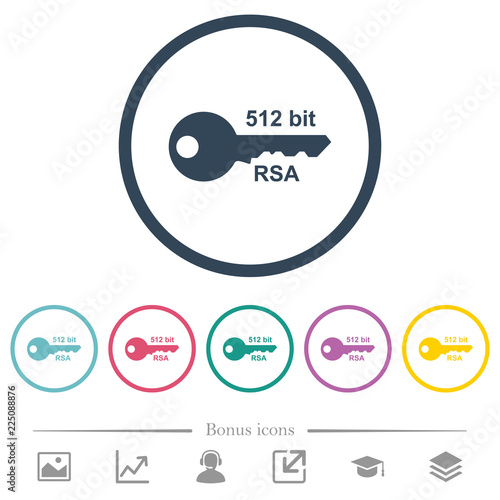 512 bit rsa encryption flat color icons in round outlines