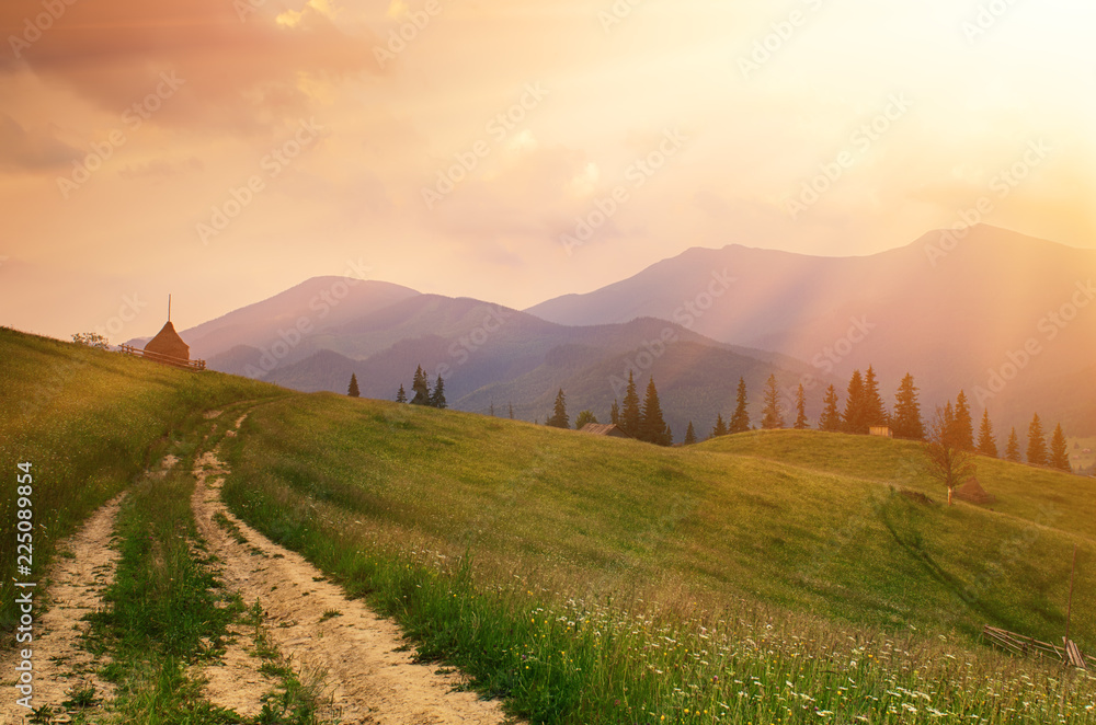 Summer landscape with mountains, fir forest and the road in hipster vintage retro style