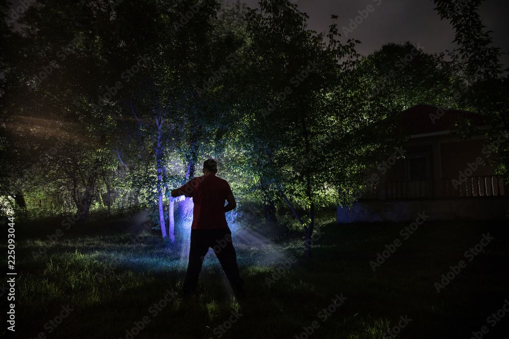 strange light in a dark forest at night. Silhouette of person standing in the dark forest with light. Dark night in forest at fog time. Surreal night forest scene. Horror halloween concept. Fairytale strange light in a dark forest at night. Silhouette of person standing in the dark forest with light. Dark night in forest at fog time. Surreal night forest scene. Horror halloween concept. Fairytale