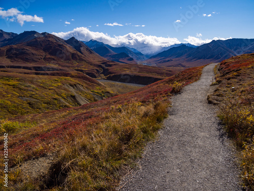 Trail Through Autumn Tundra, Mountain Landscape, Denali National Park, Alaska