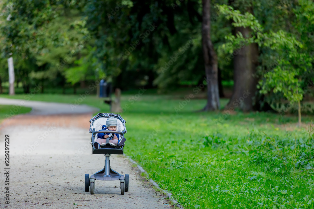 Fototapeta premium Portrait of a little baby boy in a stroller in a park alone