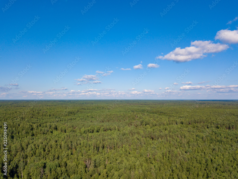Aerial view of green boundless forest and blue sky. Summer 2018, Russia.