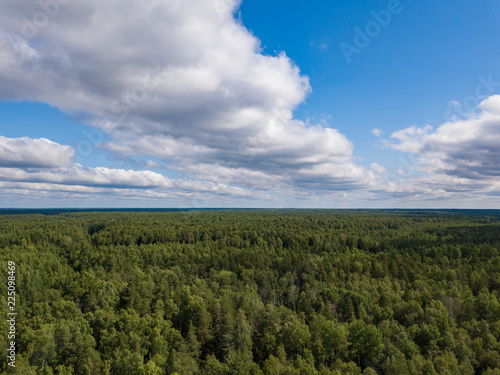 Aerial view of green boundless forest and blue sky. Summer 2018  Russia.