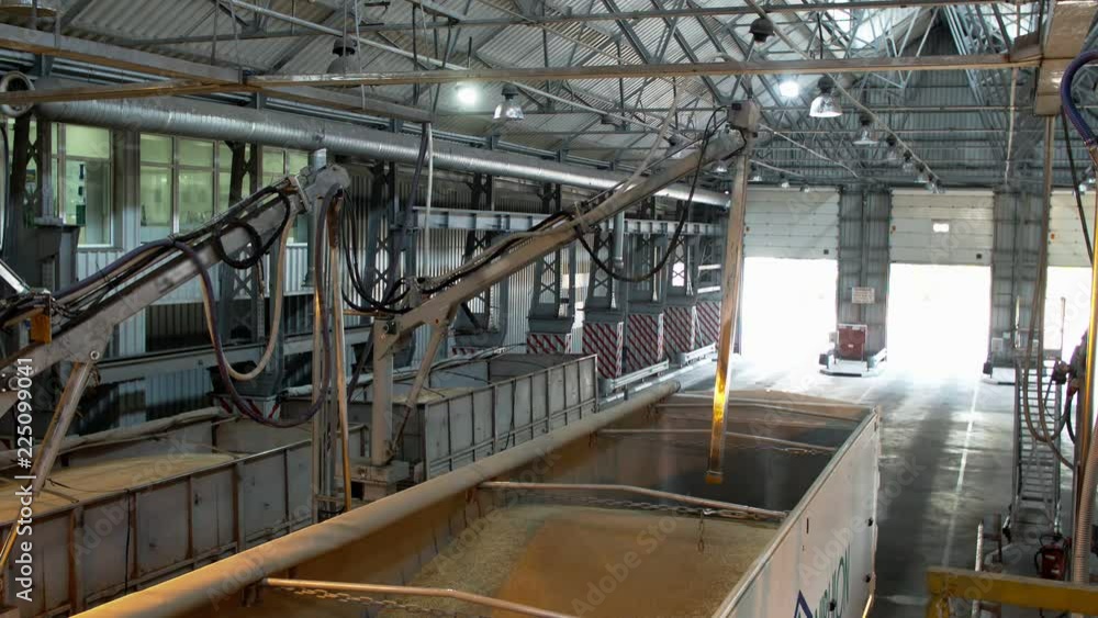 the analyzer checks the grain