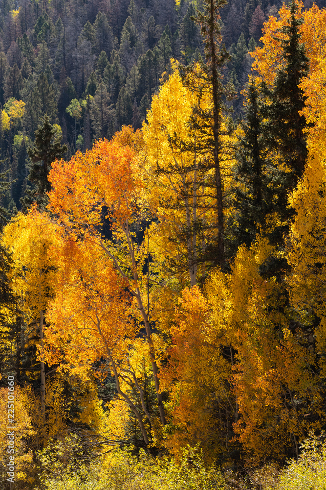 The San Juan Mountains of Colorado in Autumn The San Juan Mountains of Colorado in Autumn