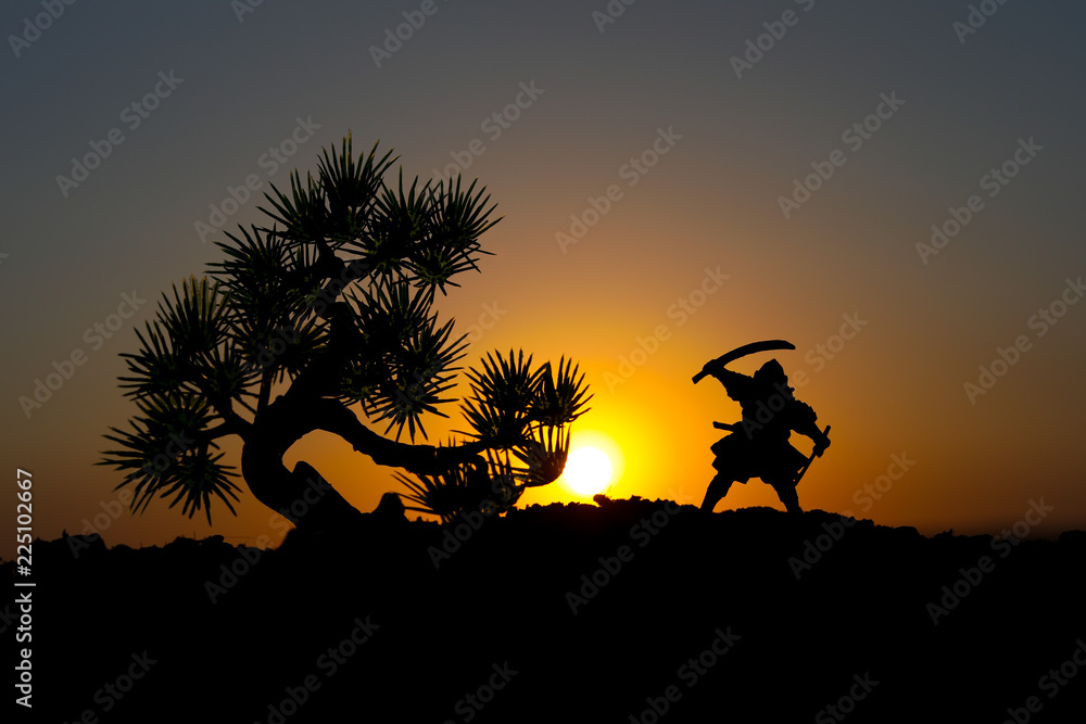 Fighter with a sword silhouette a sky ninja. Samurai on top of mountain with tree on sunset background.