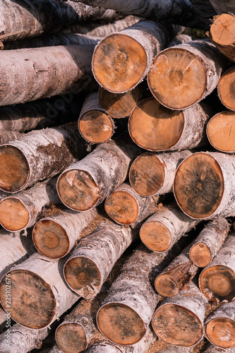 firewood from birch