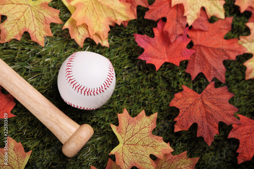 Canvas Print Baseball and bat on grass next to some fallen autumn maple leaves (focus on ball