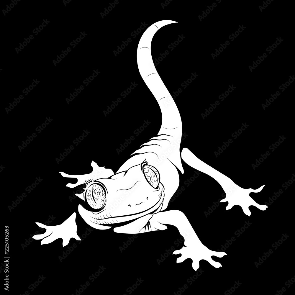 Naklejka premium Mała jaszczurka domowa - gekon. Znany również jako gekko, gekkon. Szczegółowy realistyczny rysunek odręczny. Czarno-biały stylizowany obraz binarny monochromatyczny. Dobry do projektowania koszulek.