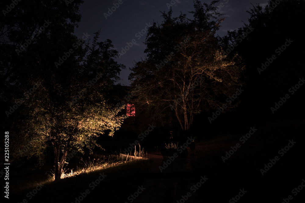 Fototapeta premium Mountain night landscape of building at forest at night with moon or vintage country house at night with clouds and stars. Summer night.