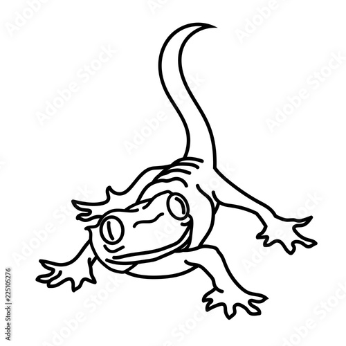 A small house pet gecko lizard. Also known as gekko, gekkon. Simple lines only. photo