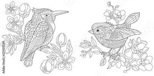 Coloring pages with kingfisher and canary bird