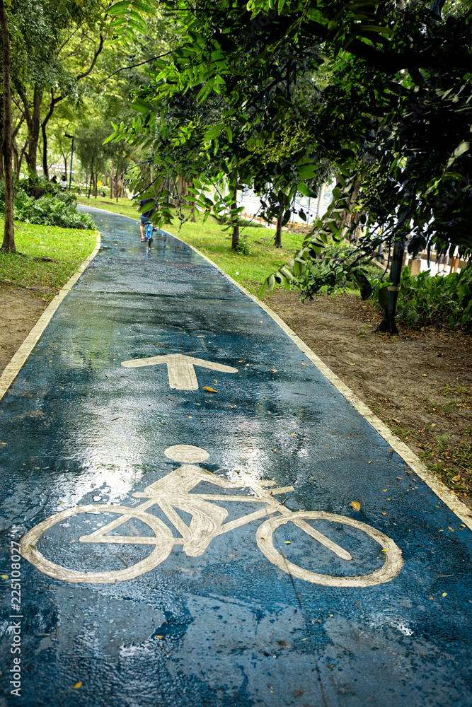 Obraz premium Bicycle sign on wet park road