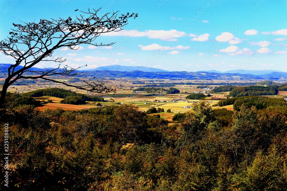 和寒町の田園地帯の俯瞰