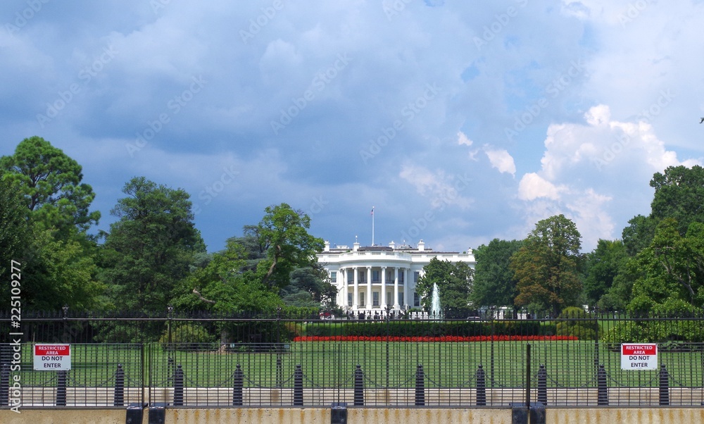 White house. Washington, DC