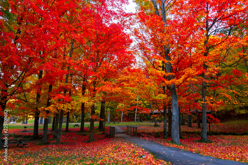 Beautiful fall foliage in the northeast USA
