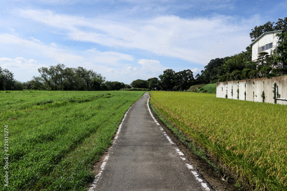 田舎の一本道 田舎の一本道