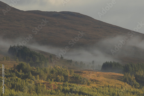 Misty Scottish hillside in Autumn  Scotland