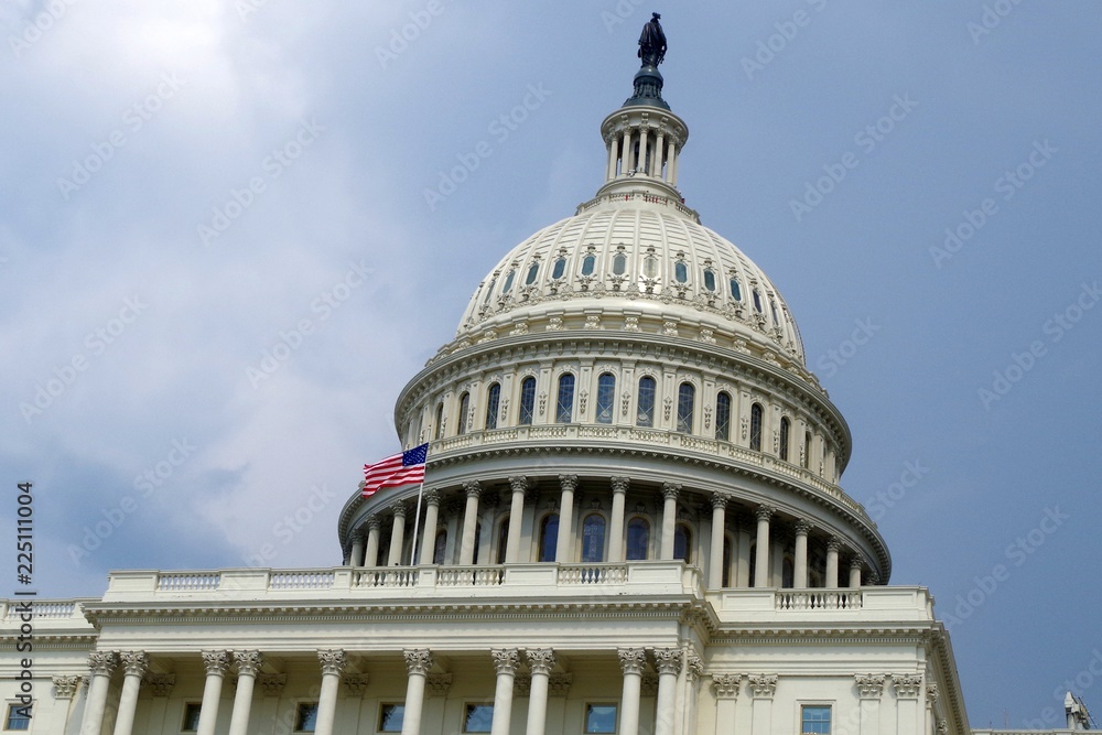 Fototapeta premium united states capitol building in washington dc