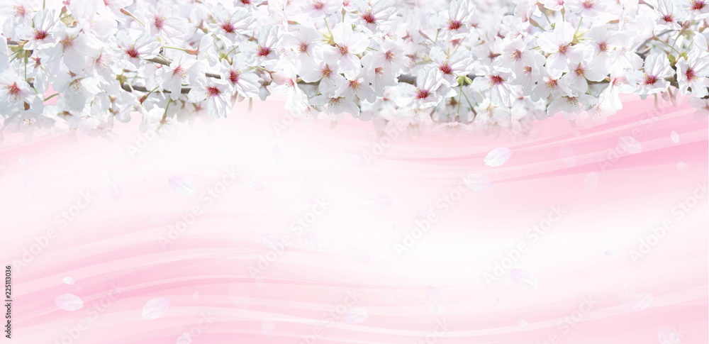 桜の背景 白と薄いピンクのイメージ Stock イラスト Adobe Stock 桜の背景 白と薄いピンクのイメージ Stock イラスト Adobe Stock