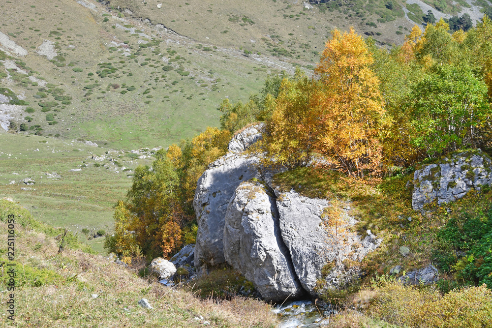 Fototapeta premium Россия, Архыз. Осень в долине реки Кяфар-Агур