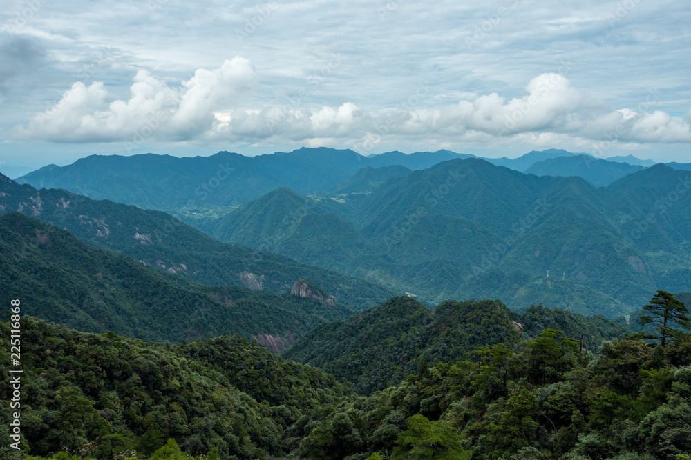 Fototapeta premium forest covered valley floor covered in blue haze at mount sanqing