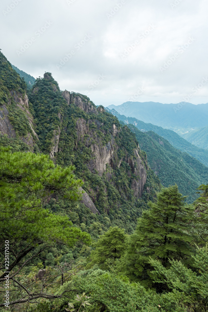 Obraz premium valley floor at mount sanqing covered in forest on a foggy day