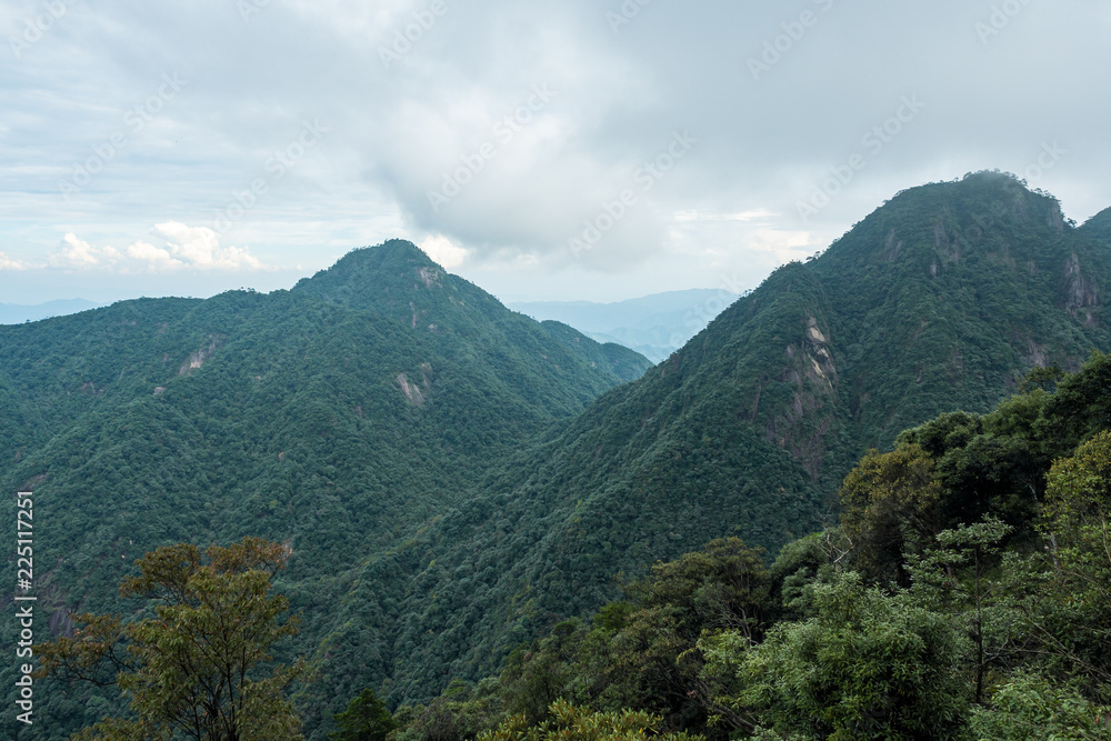 valley floor at mount sanqing covered in forest on a foggy day
