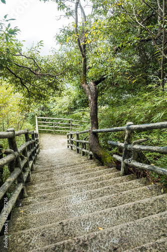 downward rock stair case against cliff surrounded by forest at mount sanqing geo park