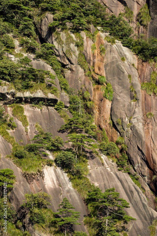 cliff face covered with green forest under the sun at Mount Sanqing Geo Park