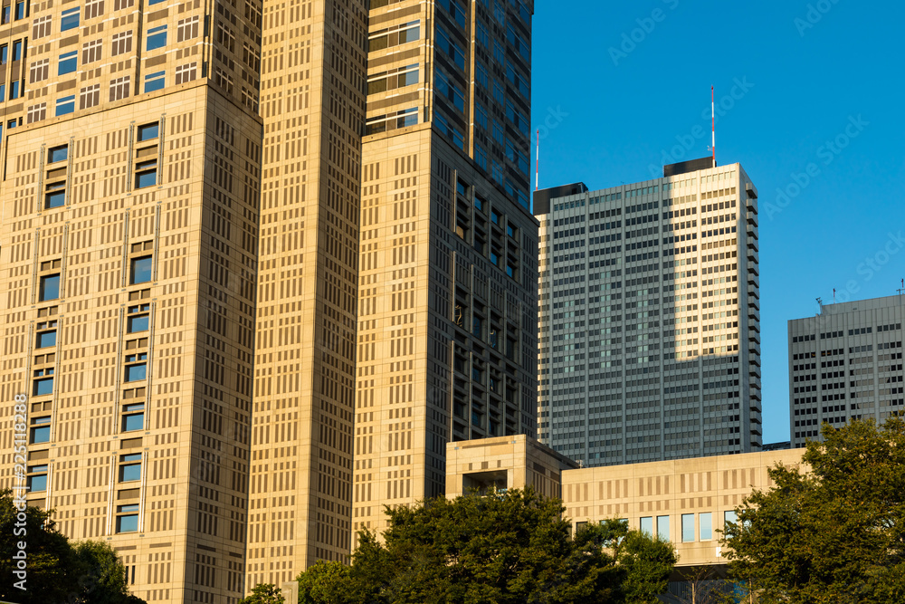 (東京都ｰ都市風景)西新宿にそびえたつ超高層ビル５