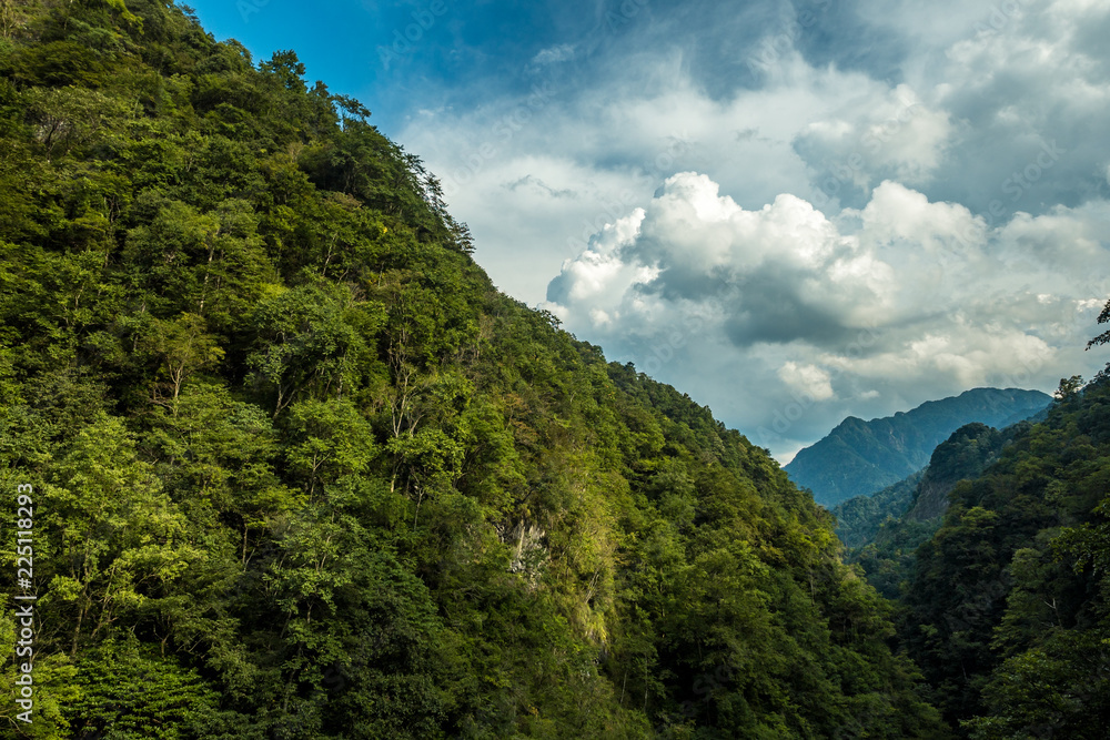 green forest covered mountain slope under the cloudy blue sky