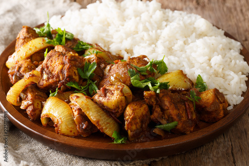 Chicken do pyaza (dopiaza) recipe with onion with garnish of rice close-up. horizontal photo