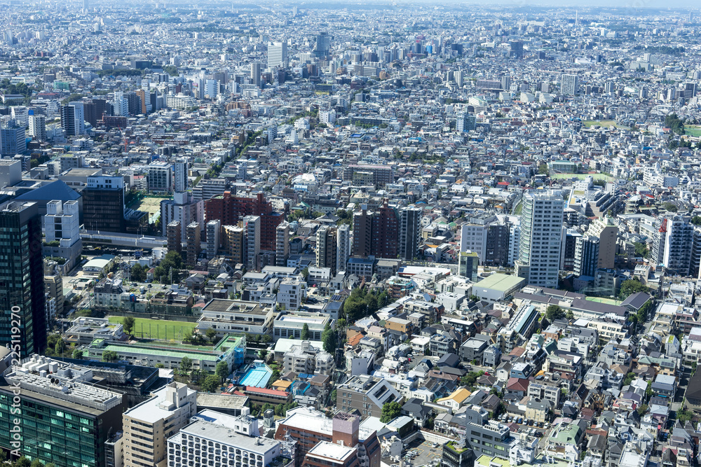 Fototapeta premium view of tokyo from shinjyuku highrise building 
