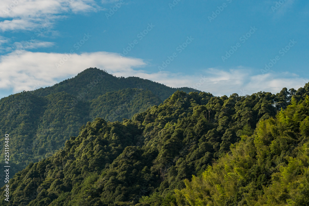 forest covered mountain ranges under the blue sunny sky