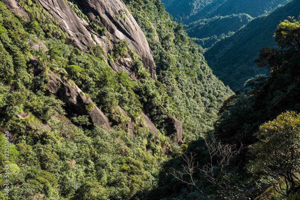 valley floor under the green covered mountain ridges on a sunny day valley floor under the green covered mountain ridges on a sunny day